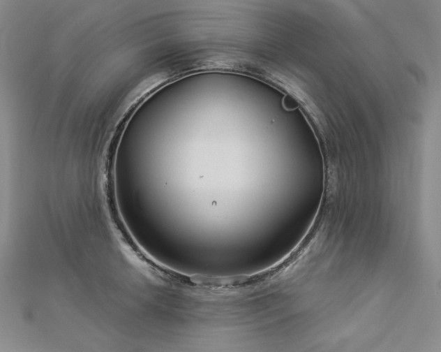 X0000113001042200908271343