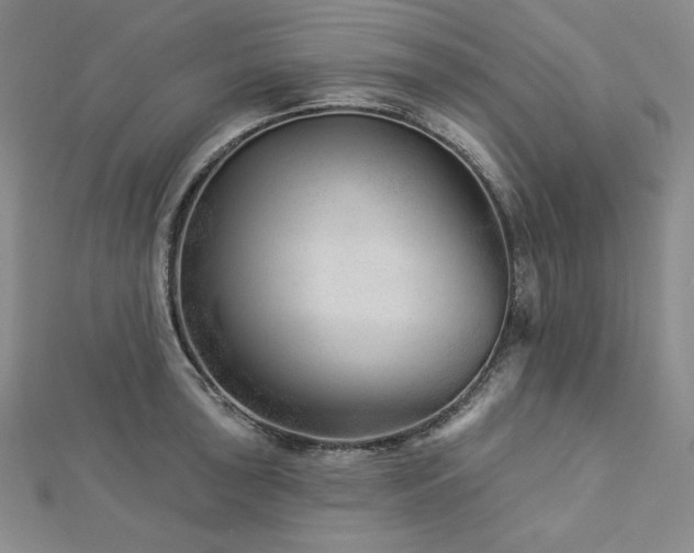 X0000113001043200908271343