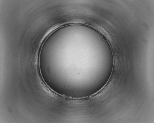 X0000113001044200908271343