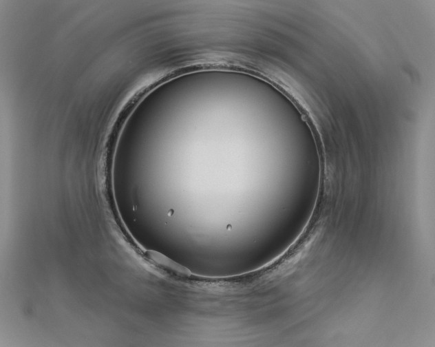 X0000113001045200908271343