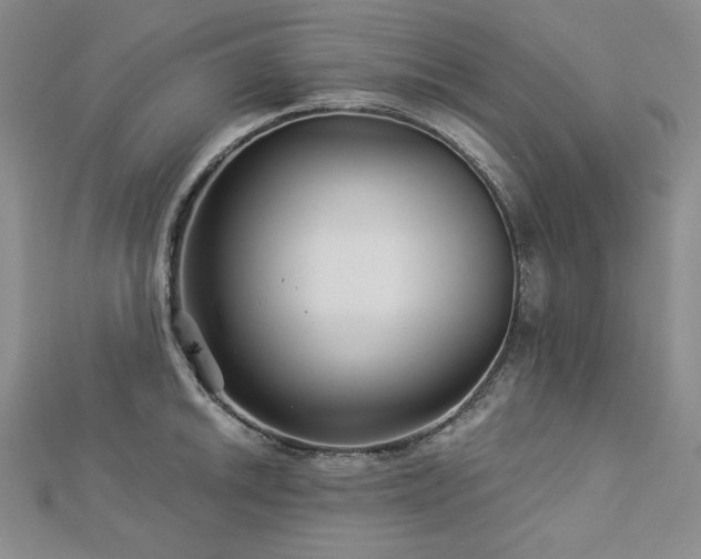 X0000113001046200908271343