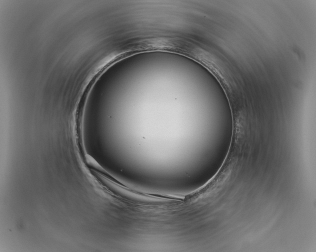 X0000113001047200908271343