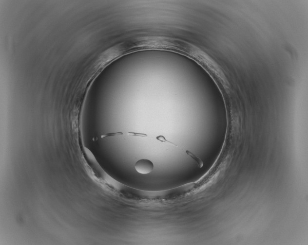 X0000113001049200908271343