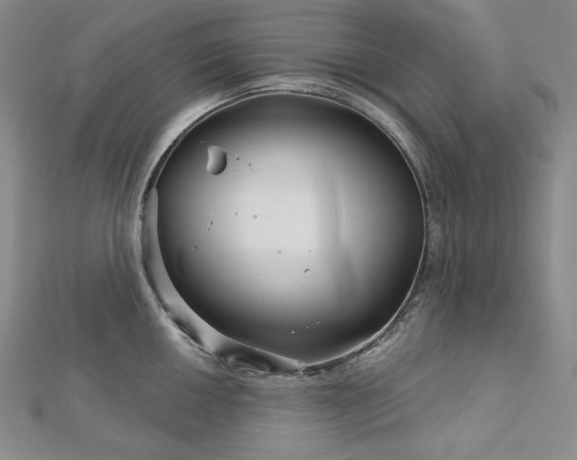X0000113001050200908271343