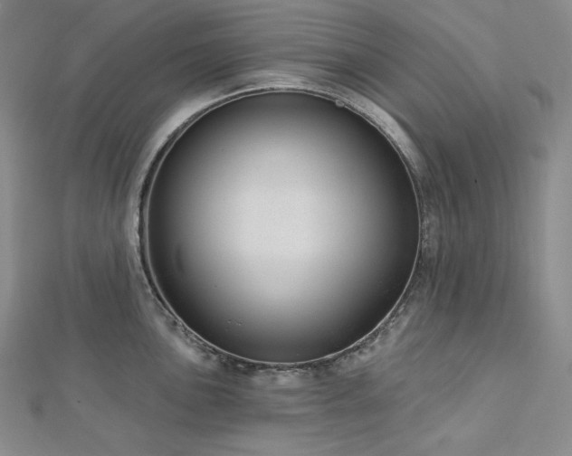 X0000113001051200908271343