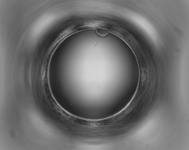 X0000113001052200908271343