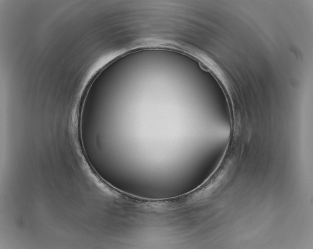 X0000113001053200908271343