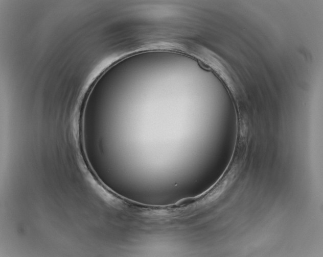 X0000113001054200908271343