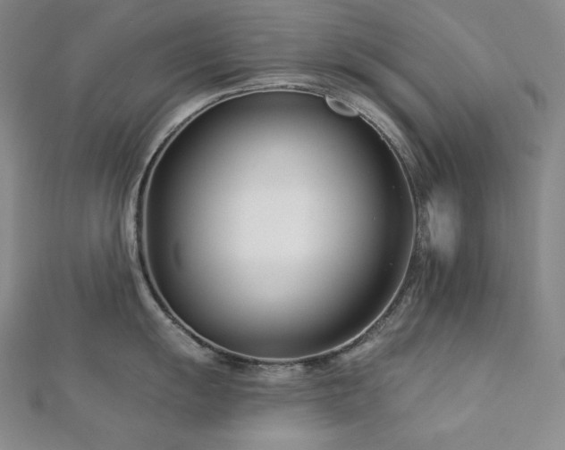 X0000113001055200908271343