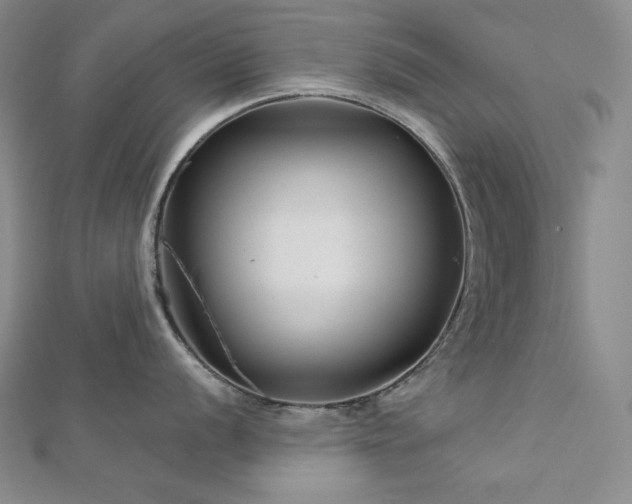 X0000113001056200908271343