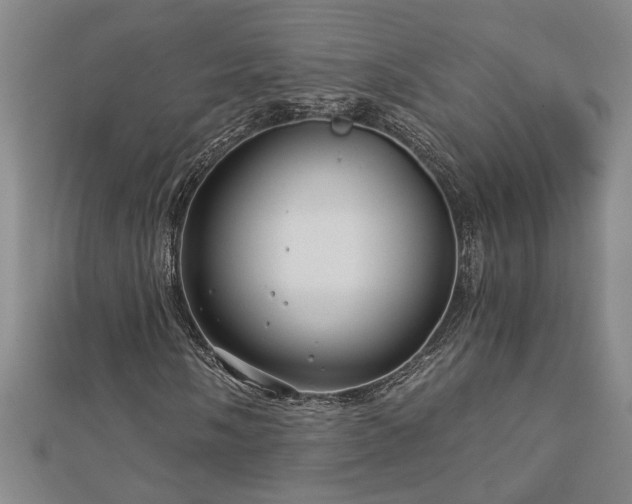 X0000113001058200908271342