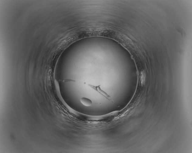 X0000113001059200908271342