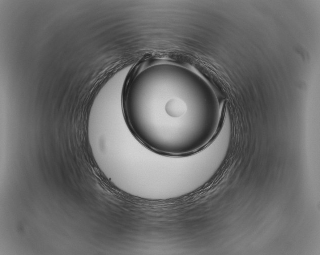 X0000113001060200908271342