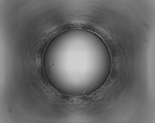 X0000113001061200908271342