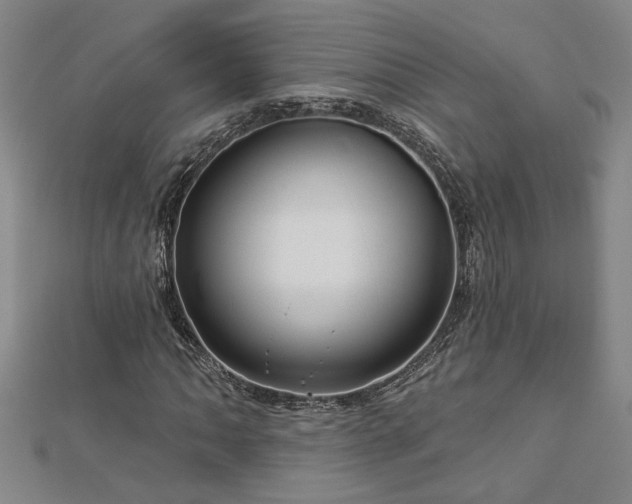 X0000113001062200908271342