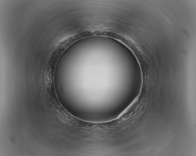 X0000113001063200908271342