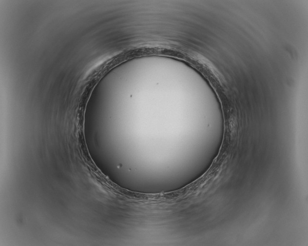 X0000113001064200908271342