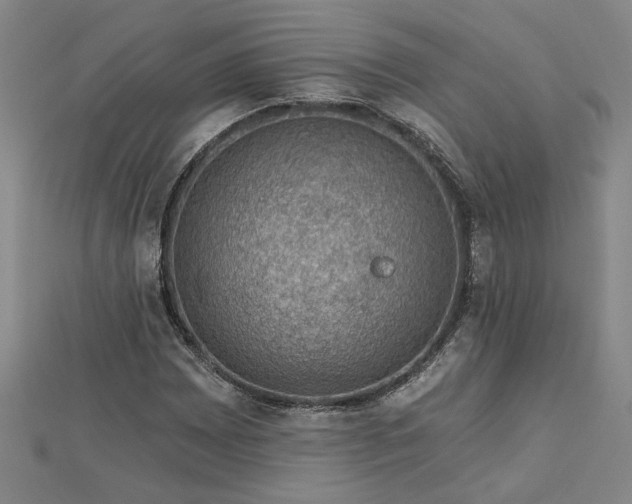 X0000113001065200908271342