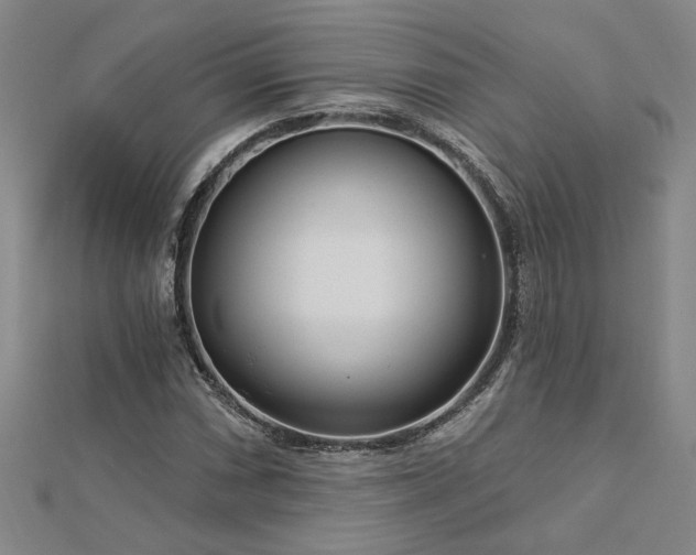 X0000113001066200908271342