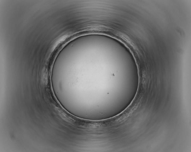 X0000113001067200908271342