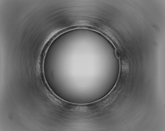 X0000113001068200908271342