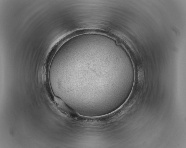 X0000113001069200908271342
