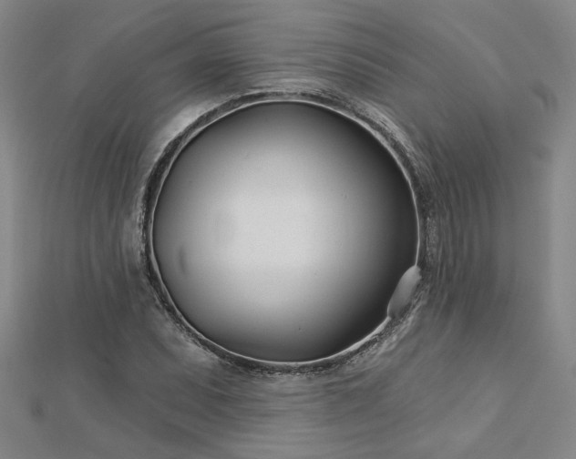 X0000113001071200908271342