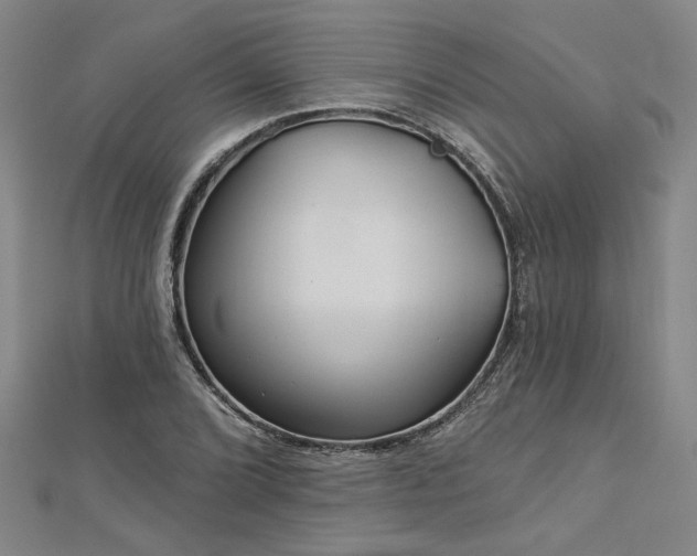 X0000113001072200908271342