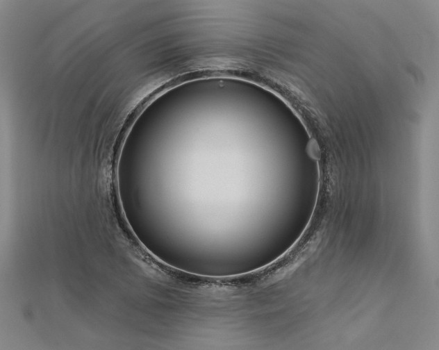 X0000113001073200908271342