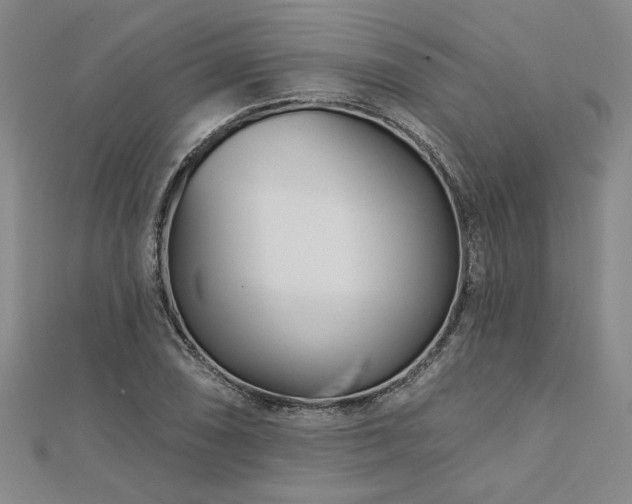 X0000113001074200908271342