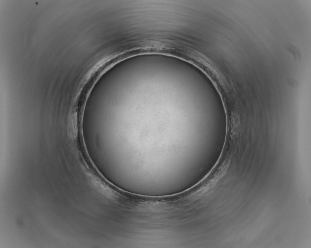 X0000113001075200908271342