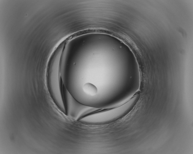 X0000113001076200908271342