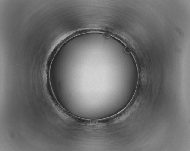 X0000113001077200908271342