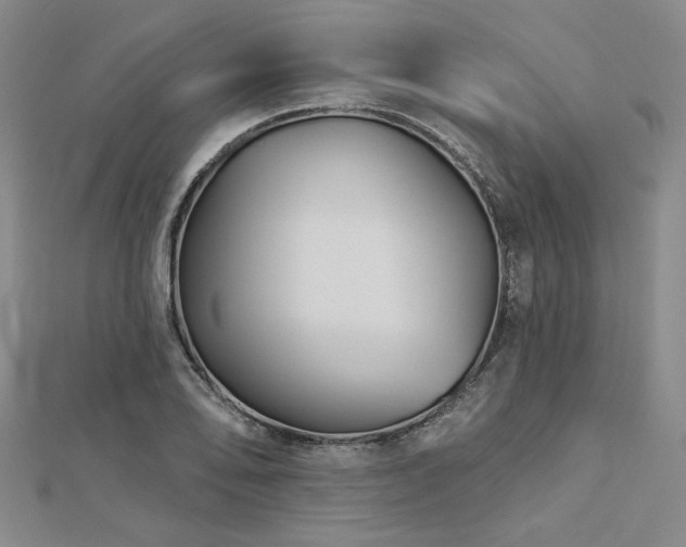 X0000113001078200908271342