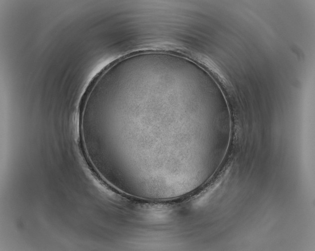 X0000113001079200908271342