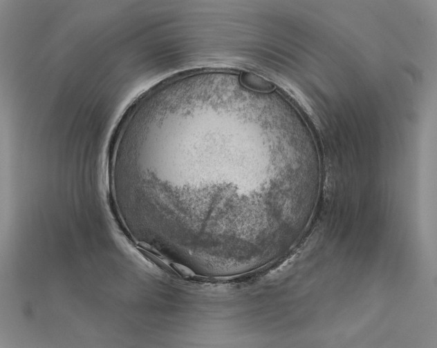 X0000113001080200908271342