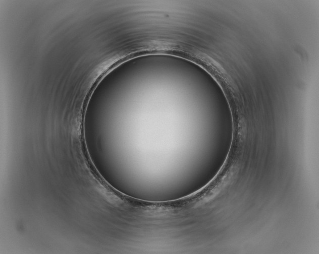 X0000113001081200908271342