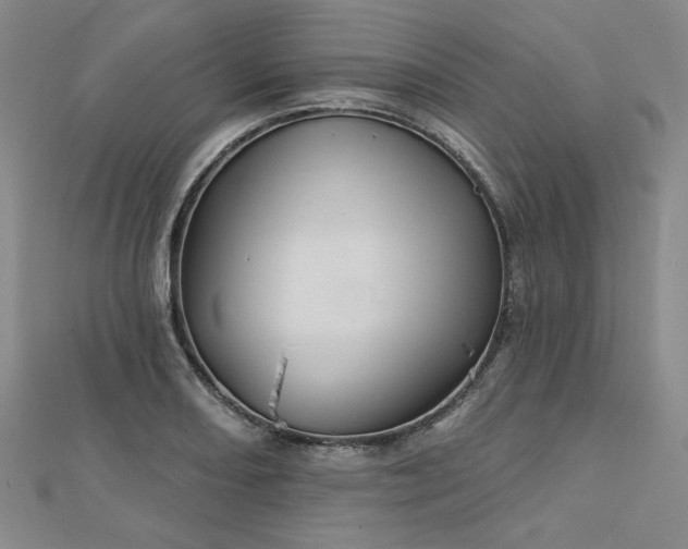 X0000113001082200908271342