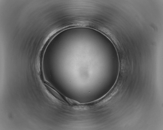 X0000113001083200908271342