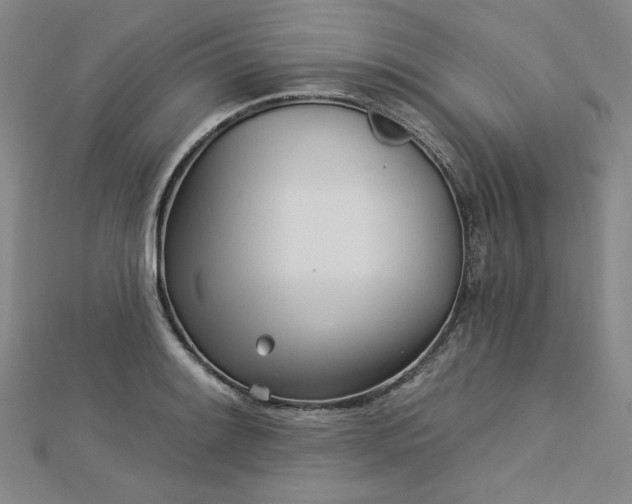 X0000113001084200908271342