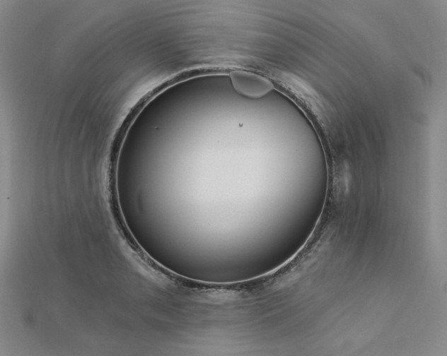 X0000113001085200908271342