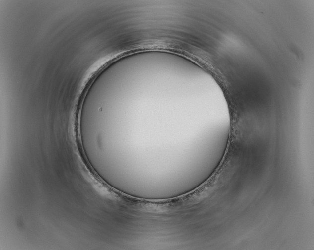 X0000113001086200908271342