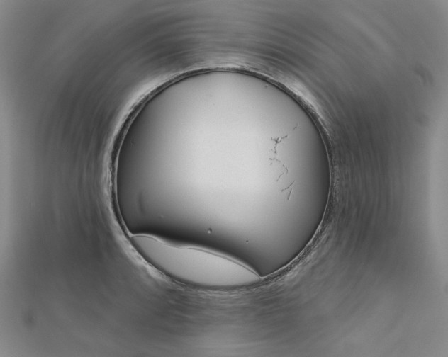 X0000113001088200908271342