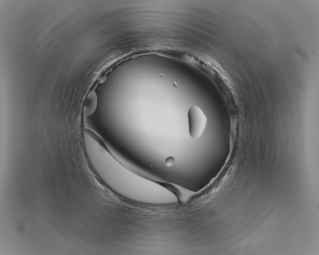 X0000113001089200908271342