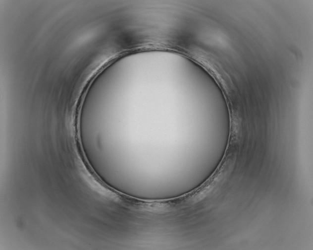 X0000113001090200908271342