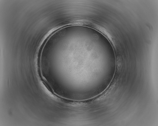 X0000113001091200908271342