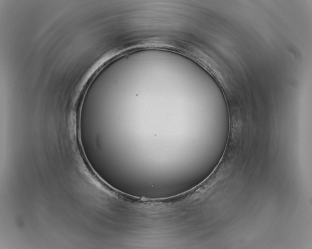 X0000113001092200908271342