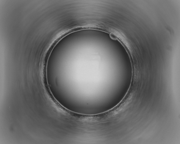 X0000113001093200908271342