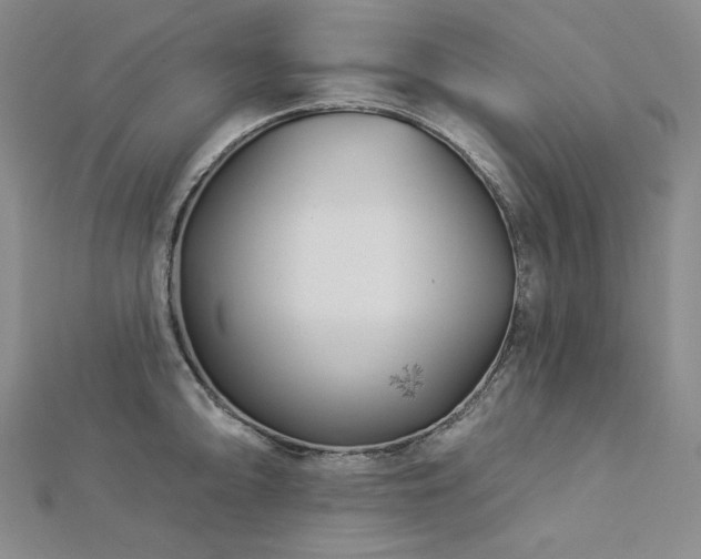 X0000113001094200908271342