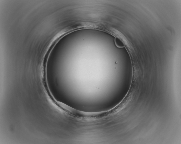 X0000113001095200908271342